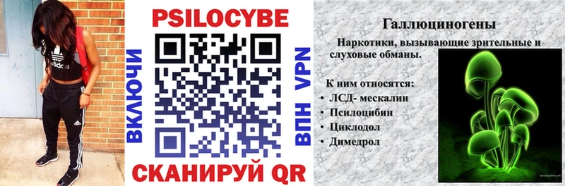 hydra ССЫЛКА  Павловская  Псилоцибиновые грибы прущие грибы 